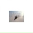 Mindfulness Healing BGM Project