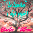 Charlie Vallone