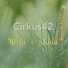 Cirkus42 feat. Petter Korkman