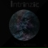 Intrinzic
