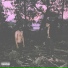 Fyinpain, Trxxx 11