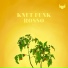 Knut Funk