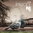 Pricey feat. Narko
