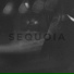 Sequoia