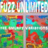 Fuzz Unlimited