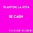 LA JOYA, PLANTON