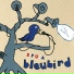 Bleubird