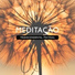 Academia de Meditação Buddha