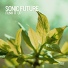 Sonic Future