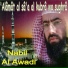 Nabil Al Awadi