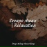 Musica Relajante, Zen Meditate, Ambient Forest
