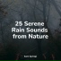reiki tribe, Weather Factory, Classical Lullabies