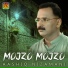 Aashiq Nizamani