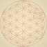 Doubutsu System