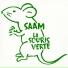 Saam