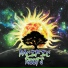 Pacific Roots feat. Adam Patterson