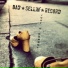 Bad Sellin Record