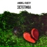 Andrej Rusty