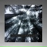 Dovim