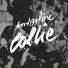 Borderline Collie