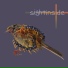 sightinside.