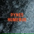 PYNES