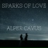 Alper Cavus