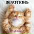 The Devotions [The Unofficial Fallout 3 ST]