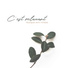 Oasis des bruits naturels