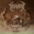 Disentomb