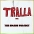 The Snæss Project