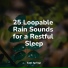 Raindrops Sleep, ambiente, White Noise Relaxation