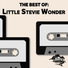Little Stevie Wonder