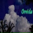 Ovvide