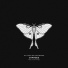 Witt Lowry feat. Deion Reverie