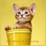Cat Music & Relaxing