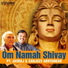 Pt. Jasraj, Sanjeev Abhyankar