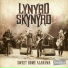 Cd 1 - Lynyrd Skynyrd feat. Rick Medlocke