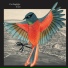 I'm Kingfisher