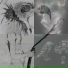 Pepelo