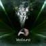 Viba Sound