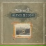 [muzmo.ru] Blind Melon