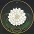 Meditator