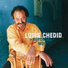 Louis Chedid