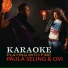Paula Seling, Ovi