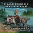 Professori Heikkerö