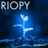 RIOPY