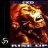 Crackdown