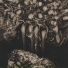 Ummet Ozcan
