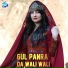 Gul Panra & Hashmat Sahar